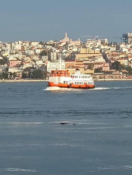 Picture 8 for Activity Lisbon: Belem Tour & Jeronimos Monastery Skip-the-Line Entry