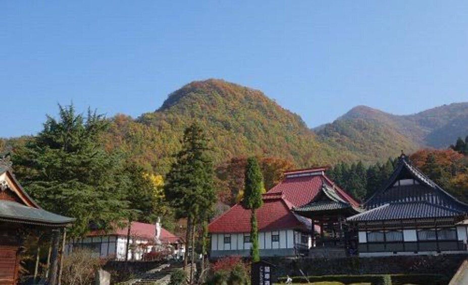Picture 3 for Activity Nagano Full Day Private Tour: Zenkoji Temple, by Car