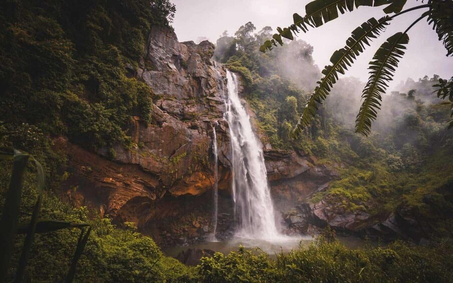 Picture 6 for Activity Bentota to Adams Peak Tour