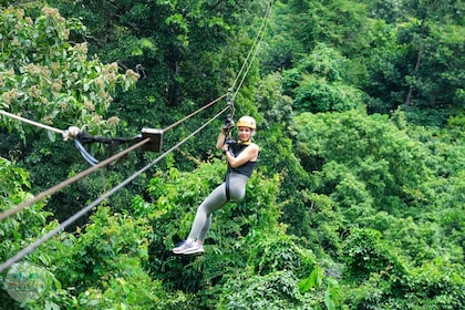 From Koh Samui: Tree Bridge Zipline and Café Experience