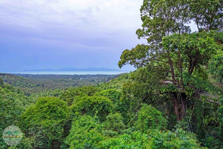 Picture 1 for Activity From Koh Samui: Tree Bridge Zipline and Café Experience