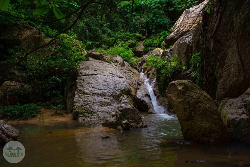 Picture 21 for Activity From Koh Samui: Tree Bridge Zipline and Café Experience