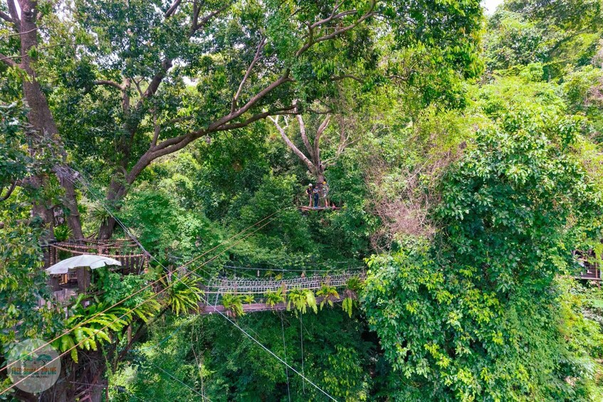 Picture 7 for Activity From Koh Samui: Tree Bridge Zipline and Café Experience