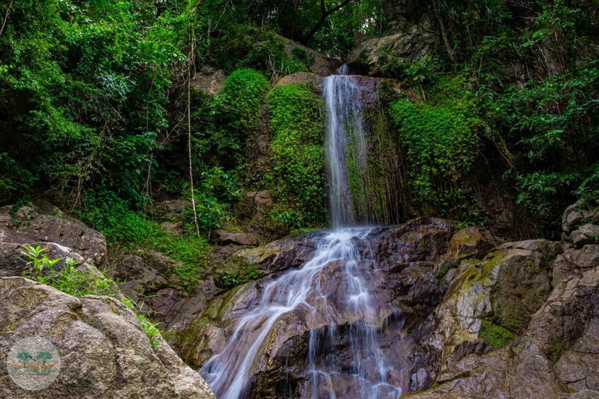 Picture 3 for Activity From Koh Samui: Tree Bridge Zipline and Café Experience