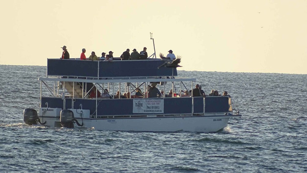 Picture 4 for Activity From Panama City, FL: Shell Island Ferry