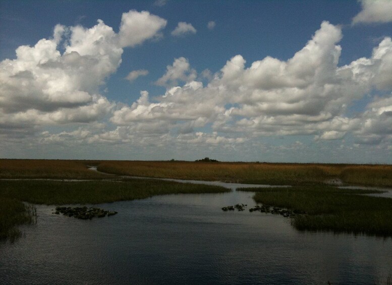 Picture 2 for Activity Miami: Original Everglades Airboat Tour & Alligator Exhibit