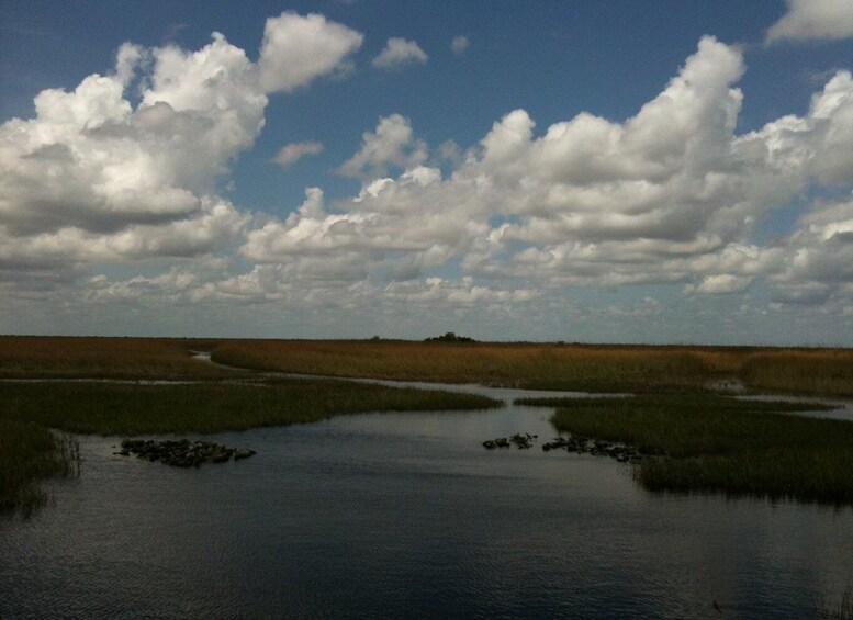 Picture 2 for Activity Miami: Original Everglades Airboat Tour & Alligator Exhibit