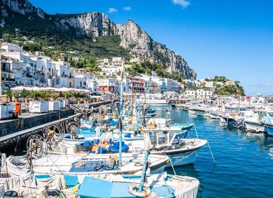 Desde Nápoles: Excursión de un día a Capri, Anacapri y la Gruta Azul