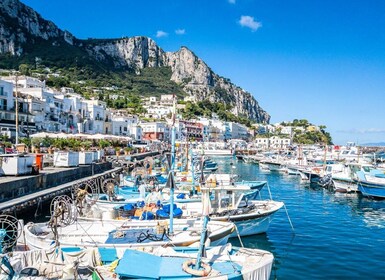 Desde Nápoles: Excursión de un día a Capri, Anacapri y la Gruta Azul