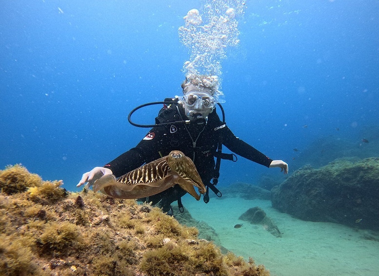 Picture 1 for Activity Lanzarote: Intro to Diving Experience for Beginners