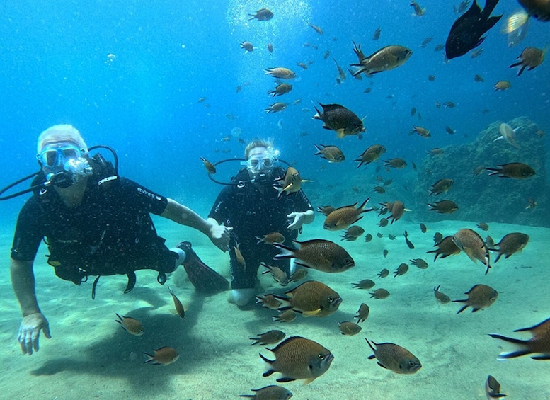 Picture 3 for Activity Lanzarote: Intro to Diving Experience for Beginners