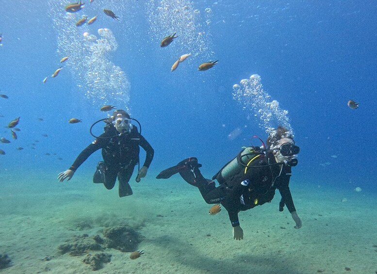 Picture 12 for Activity Lanzarote: Intro to Diving Experience for Beginners