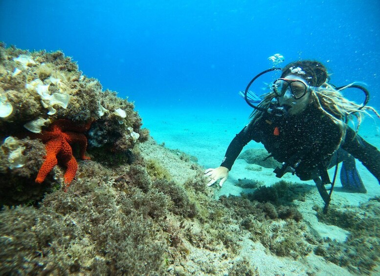 Picture 7 for Activity Lanzarote: Intro to Diving Experience for Beginners