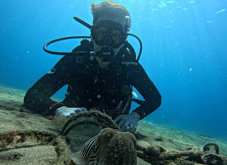 Picture 17 for Activity Lanzarote: Intro to Diving Experience for Beginners