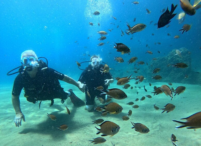 Picture 3 for Activity Lanzarote: Intro to Diving Experience for Beginners