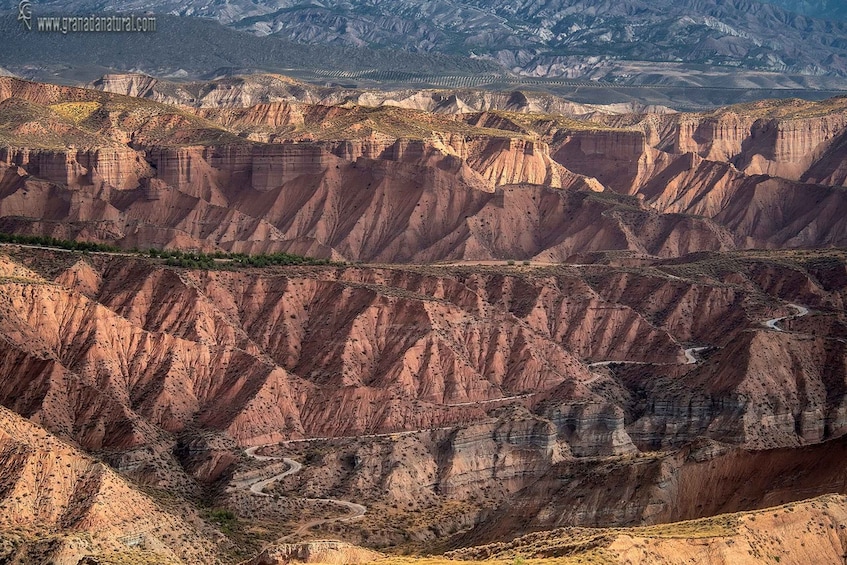 Gorafe: Los Coloraos Desert 4x4 Tour