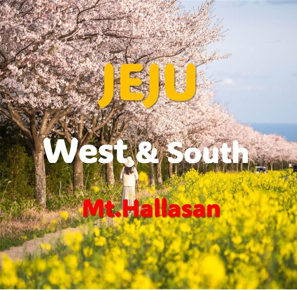 Picture 5 for Activity Jeju: Western and Southern Sightseeing Day Tour