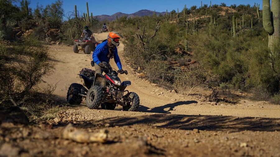 Sonoran Desert: Beginner ATV Training & Desert Tour Combo