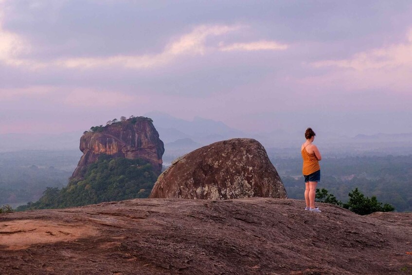 Picture 6 for Activity Colombo: from Pidurangala Rock and Minneriya Safari Day Tour