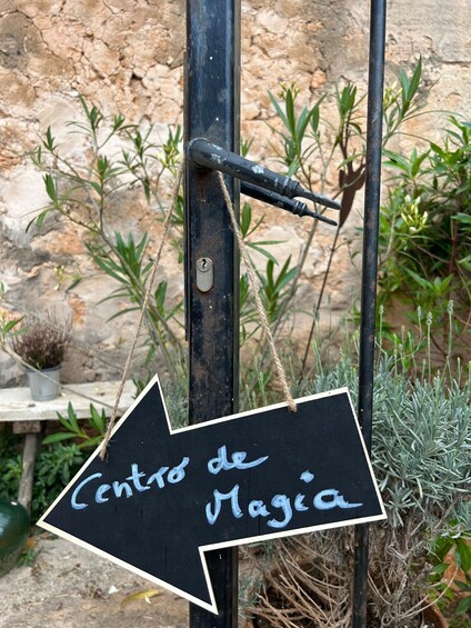 Picture 7 for Activity Yoga Class for private group in Ses Salines: Center of Magic