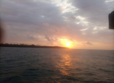 Von Diani: Kisite Sun-Down Dhow Cruise mit Abholung vom Hotel