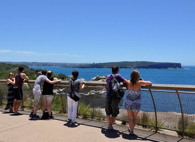 Sydney: City Highlights Guided Bus Tour with Bondi Beach