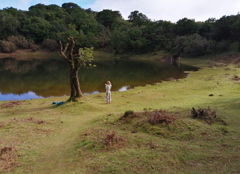 Picture 1 for Activity West Madeira:, Laurel Forest, Waterfall, Rock Pools, Walk