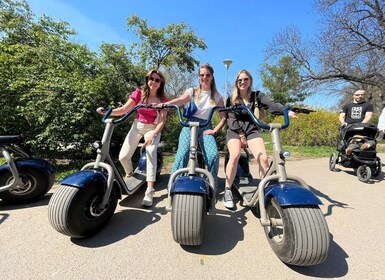 Tour de 3 horas en patinete eléctrico por Hamburgo