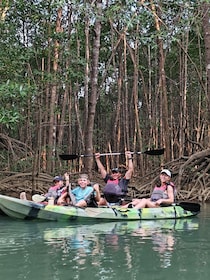 Monkey boat tour