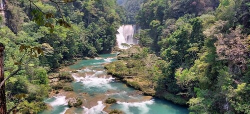 Da Palenque: Tour privato delle cascate di El Salto