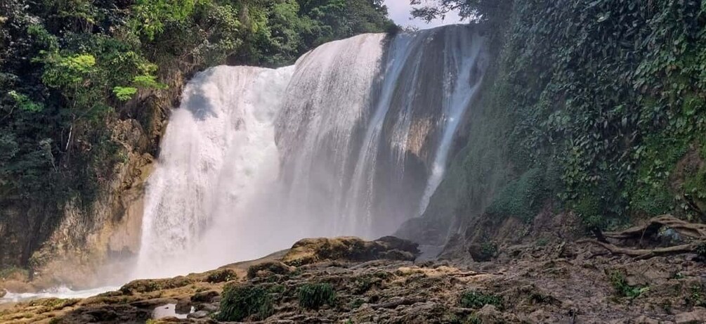 Picture 2 for Activity From Palenque: El Salto Waterfall Private Tour