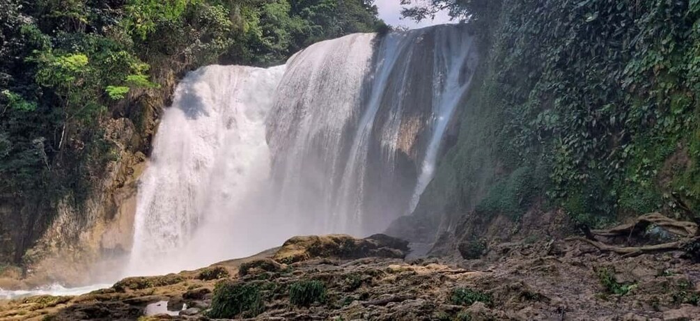 Picture 2 for Activity From Palenque: El Salto Waterfall Private Tour