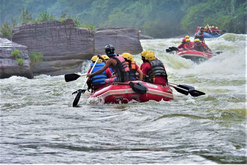 Picture 3 for Activity From Nuwara Eliya: White Water Rafting in Kithulgala