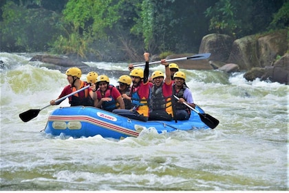 Fra Nuwara Eliya: Rafting i Kithulgala - privat