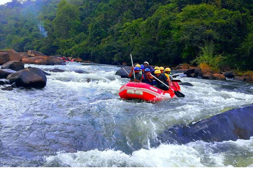 Picture 4 for Activity From Nuwara Eliya: White Water Rafting in Kithulgala