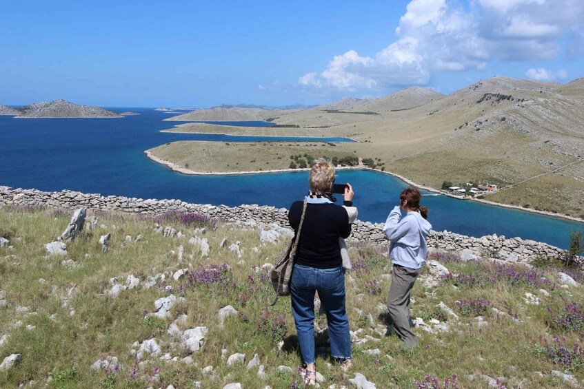 Picture 2 for Activity Zadar: Kornati National Park Half-Day Speedboat Tour