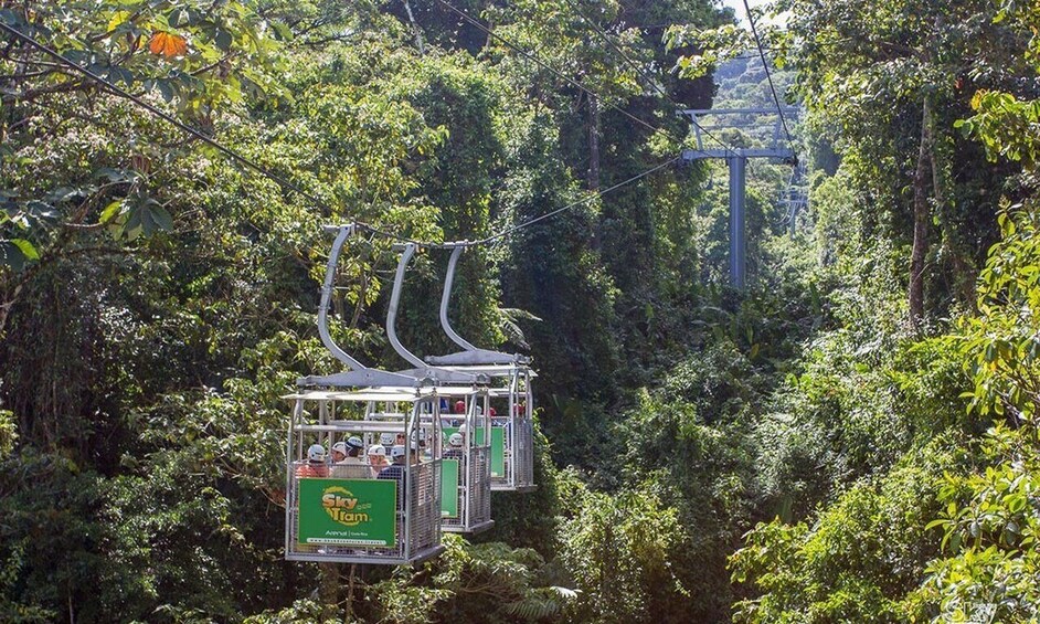 Picture 4 for Activity Monteverde: 3-in-1 Sky Tram, Sky Trek and Sky Walk