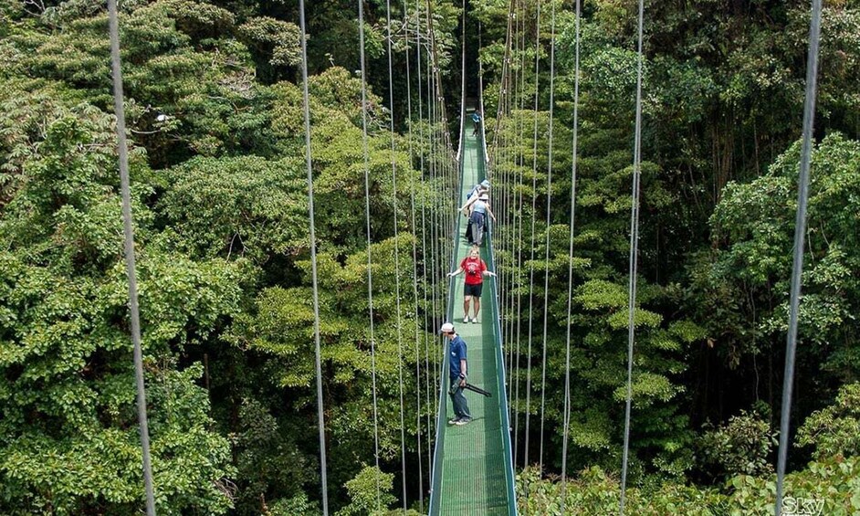 Picture 2 for Activity Monteverde: 3-in-1 Sky Tram, Sky Trek and Sky Walk