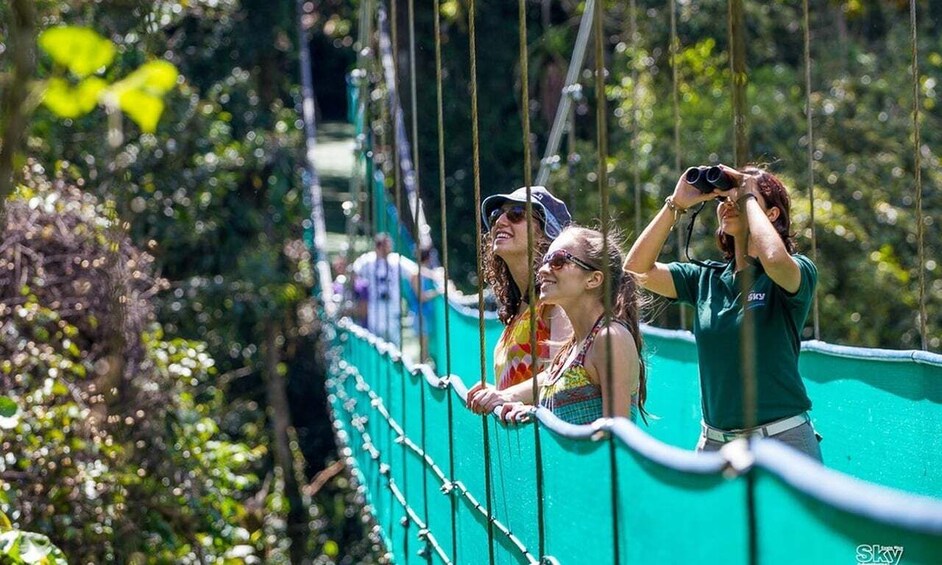 Picture 3 for Activity Monteverde: 3-in-1 Sky Tram, Sky Trek and Sky Walk