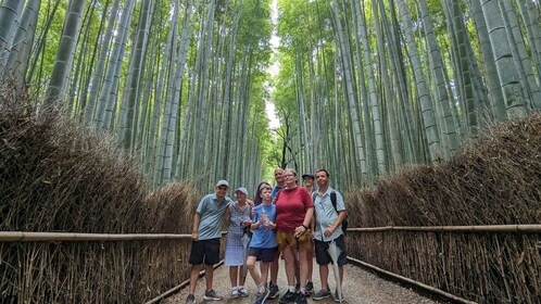 京都：岚山竹林、寺庙、抹茶、猴子和秘密