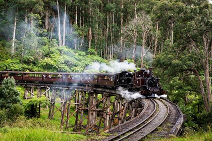 Von Melbourne aus: Puffing Billy Dampfzug & Wildlife Tour