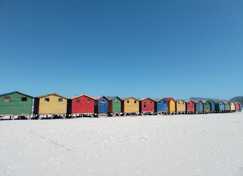 Picture 4 for Activity Cape Town: Seal Island, Cape of Good Hope& Penguins Private