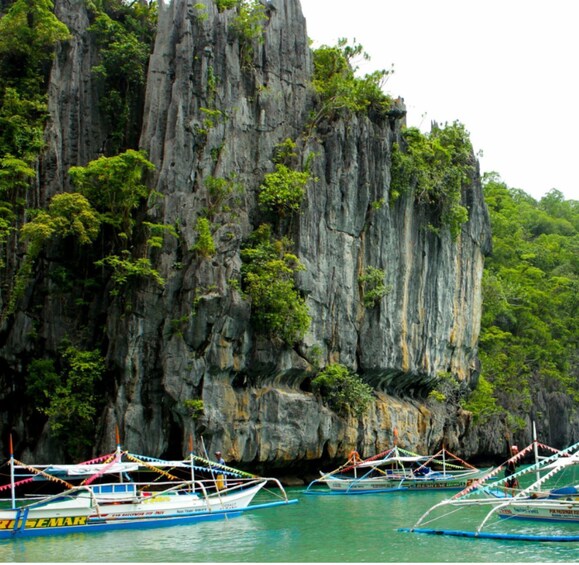 Picture 4 for Activity Puerto Princesa Package 1: Free & Easy (No Tour)