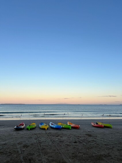 Picture 2 for Activity Auckland: Bioluminescence Kayak Tour by Night with Tuition