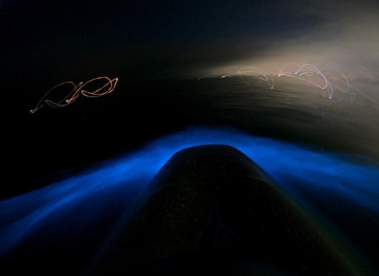 Picture 2 for Activity Auckland: Bioluminescence Kayak Tour by Night with Tuition