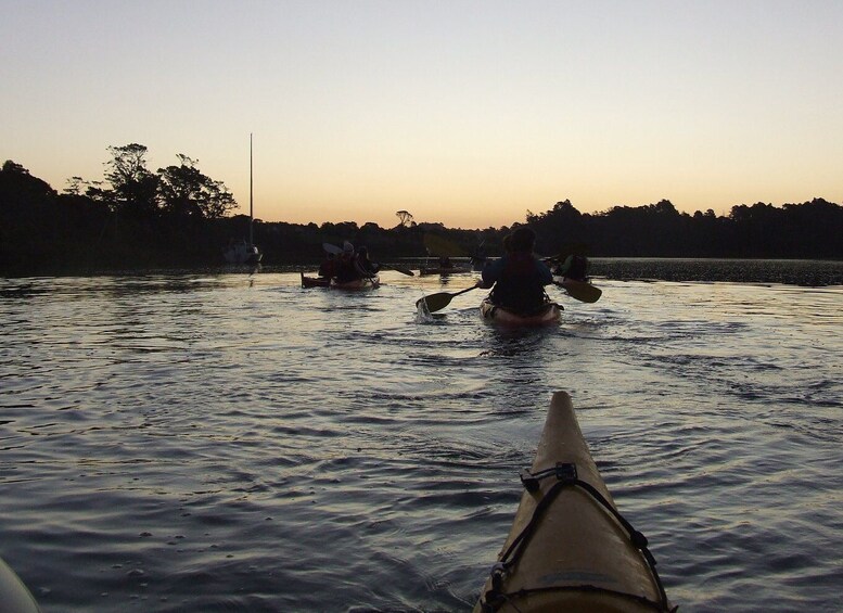 Picture 3 for Activity Auckland: Bioluminescence Kayak Tour by Night with Tuition