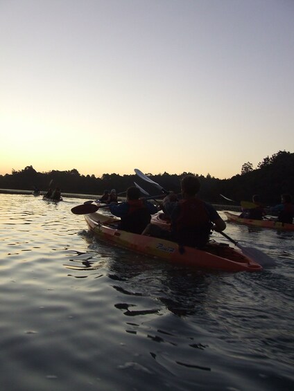 Picture 6 for Activity Auckland: Bioluminescence Kayak Tour by Night with Tuition