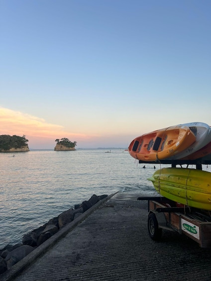 Picture 6 for Activity Auckland: Bioluminescence Kayak Tour by Night with Tuition