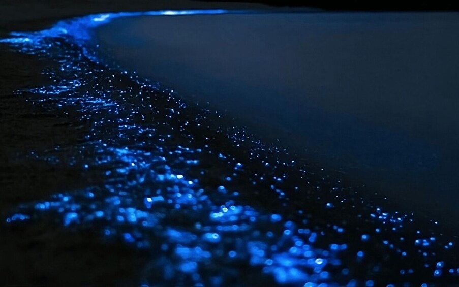 Auckland: Bioluminescence Kayak Tour by Night with Tuition