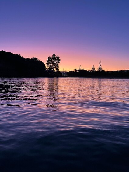 Picture 7 for Activity Auckland: Bioluminescence Kayak Tour by Night with Tuition